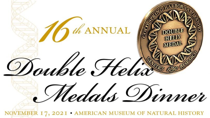 image of the 16th DHMD logo